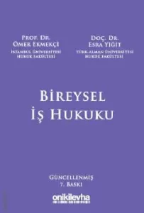 Bireysel İş Hukuku