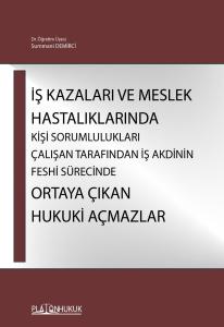 İŞ KAZALARI VE MESLEK HASTALIKLARINDA KİŞİ SORUMLULUKLARI ÇALIŞAN TARAFINDAN İŞ AKDİNİN FESHİ SÜRECİNDE ORTAYA ÇIKAN HUKUKİ AÇMAZLAR