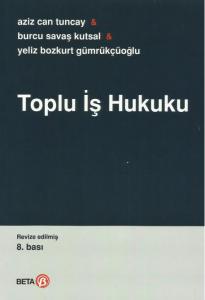 Toplu İş Hukuku