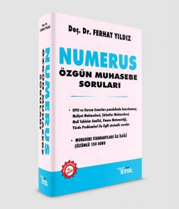 Numerus - Özgün Muhasebe Soruları