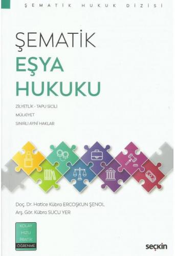 Şematik Eşya Hukuku